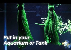 Put in your Aquarium or Tank