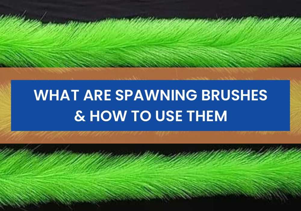What Are Spawning Brushes And How To Use Them