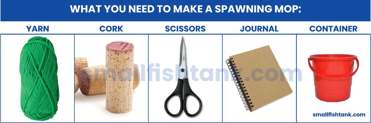 What You Need To Make A Spawning Mop