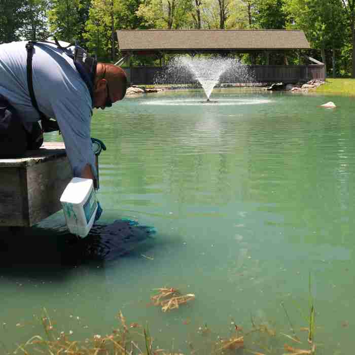 How To Clean A Koi Pond Without Draining It In 30 Minutes Small Fish Tank