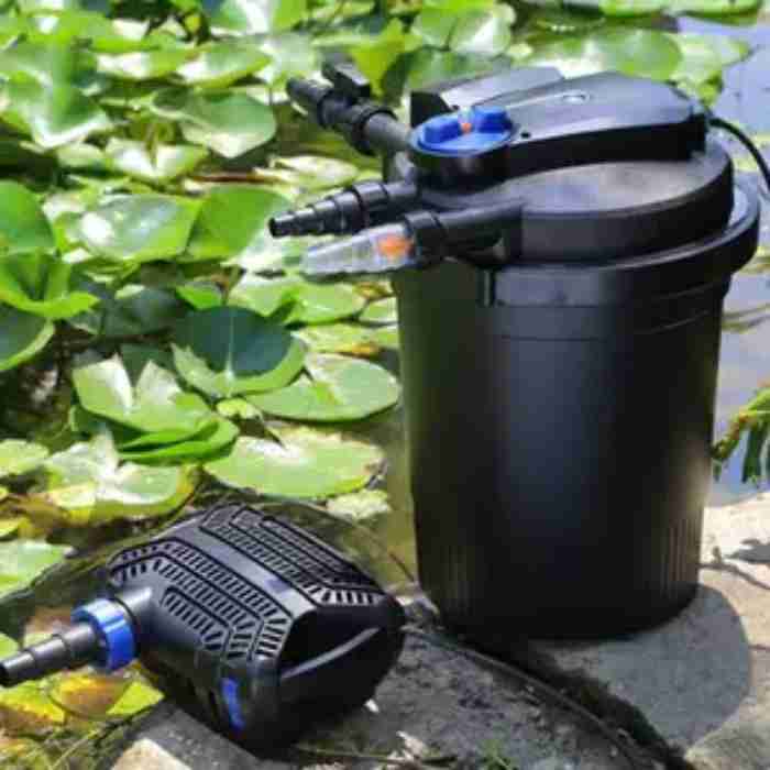 How To Clean A Koi Pond Without Draining It In 30 Minutes Small Fish Tank