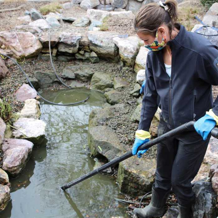 Cleaning Koi Pond How To Clean A Koi Fish Pond Without Killing Your