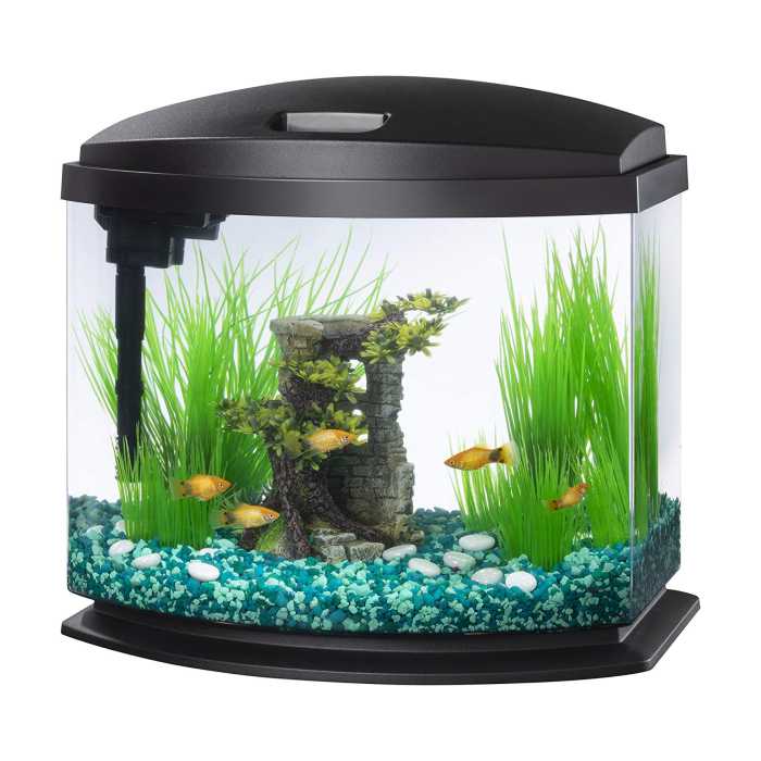 Aqueon LED MiniBow 5 Gallons Aquarium Fish Tank Kit with SmartClean Technology