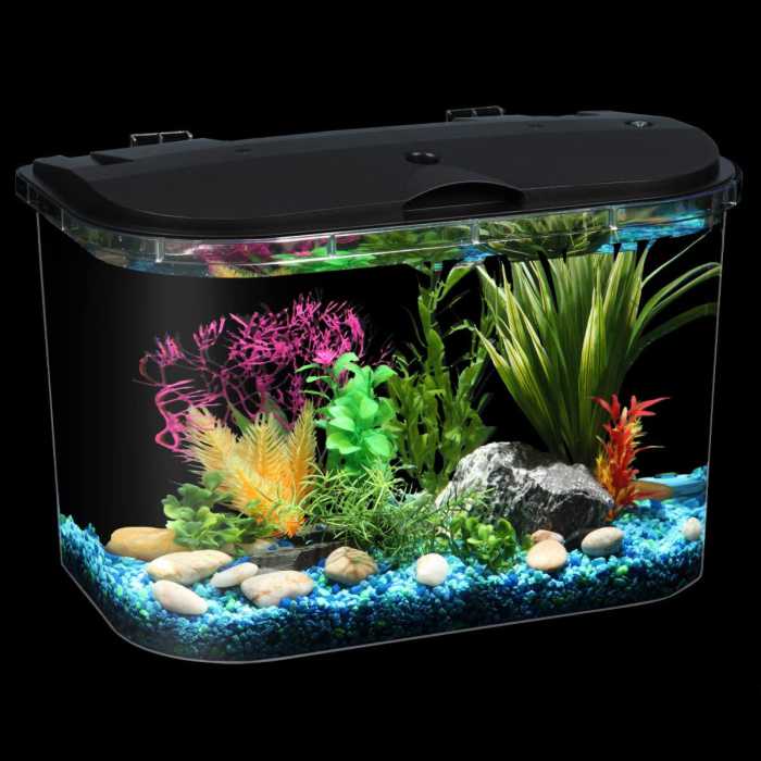 Koller 5-Gallon Aquarium Kit with LED Lighting and Power Filter