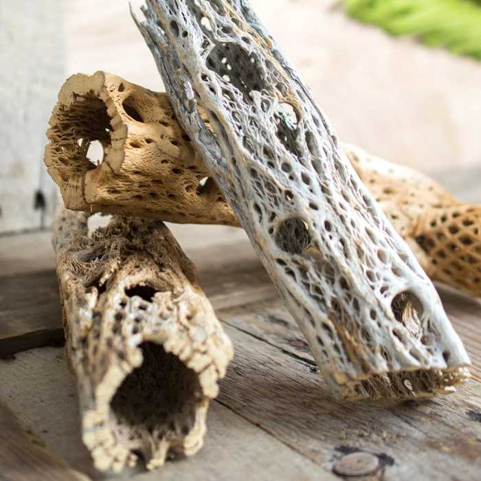 12 Types of Wood for Aquariums Best Driftwood For Aquariums Small