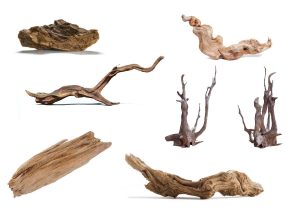 Selecting the Right Driftwood